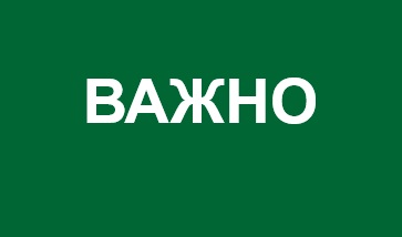Пользование мобильными телефонами