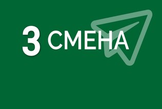 РОДИТЕЛЬСКИЕ ЧАТЫ